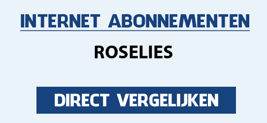 internet vergelijken roselies